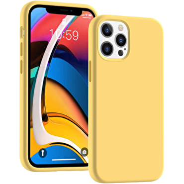Piili iPhone 12 / 12 Pro Altın Lansman Kılıf