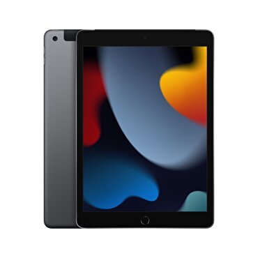 Apple iPad 10.2" Wi-Fi + Cellular 256GB - Uzay Grisi 