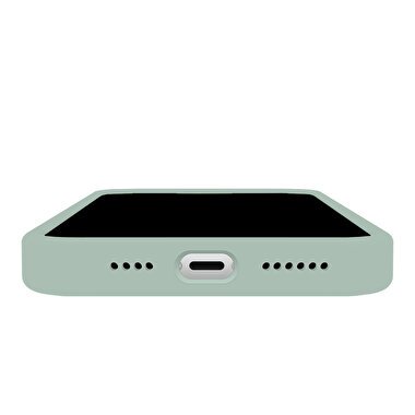 Buff iPhone 15 Pro Max Rubber Fit Kılıf Succulent 8683548218544