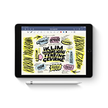 Apple Pencil (1. nesil)  MQLY3TU/A