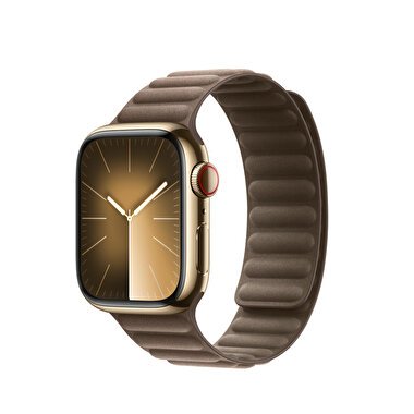 41 mm Vizon Grisi Manyetik Baklalı Model Kayış - M/L MTJ83ZM/A